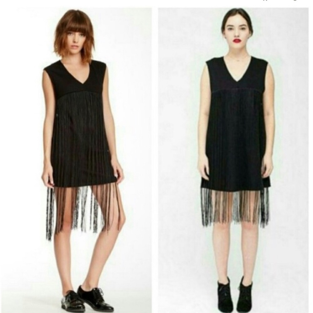 American Apparel  Flapper Fringe Dress